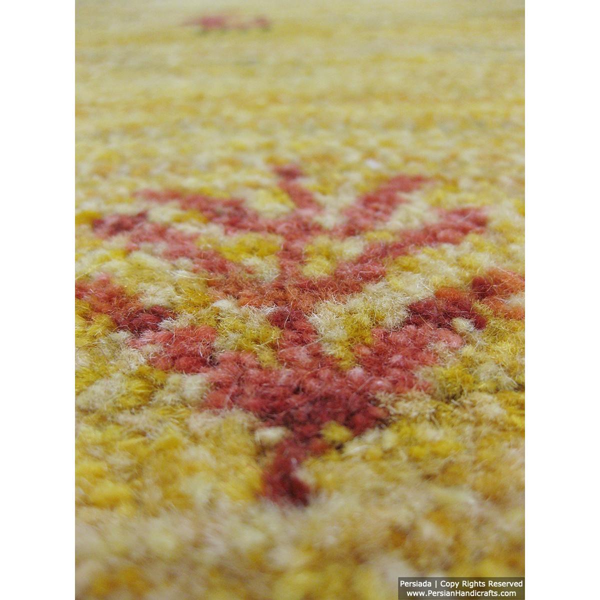 Gabbeh Wool Rug from Persian Ghashghai Nomads - RG5022-Persian Handicrafts