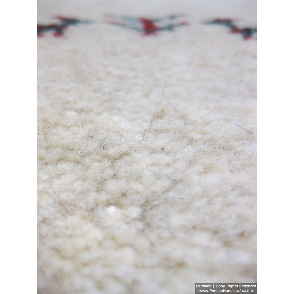 Gabbeh Wool Rug from Persian Ghashghai Nomads - RG5025-Persian Handicrafts