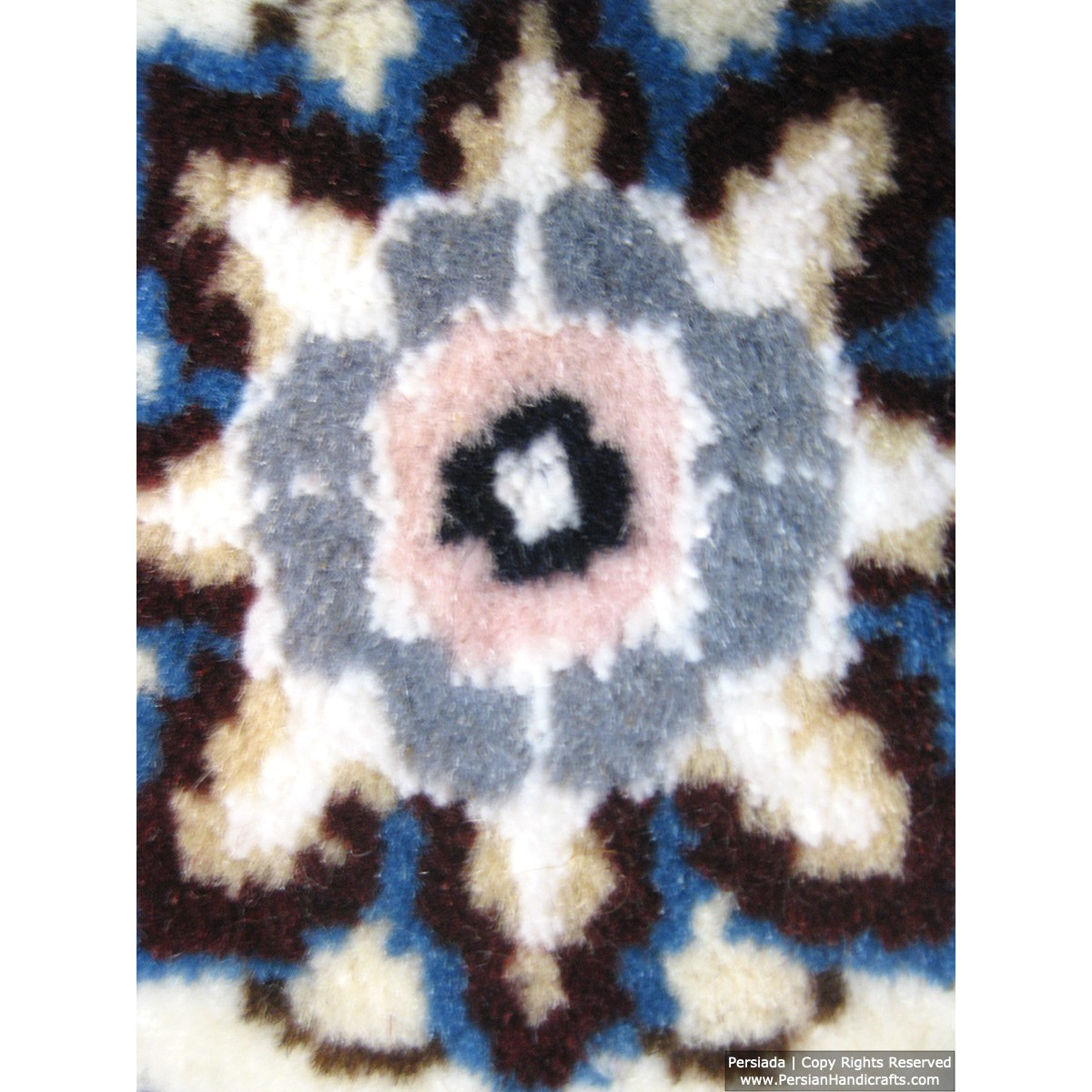 Medallion Design Wool & Cotton Naein Persian Rug  -  RN5000-Persian Handicrafts