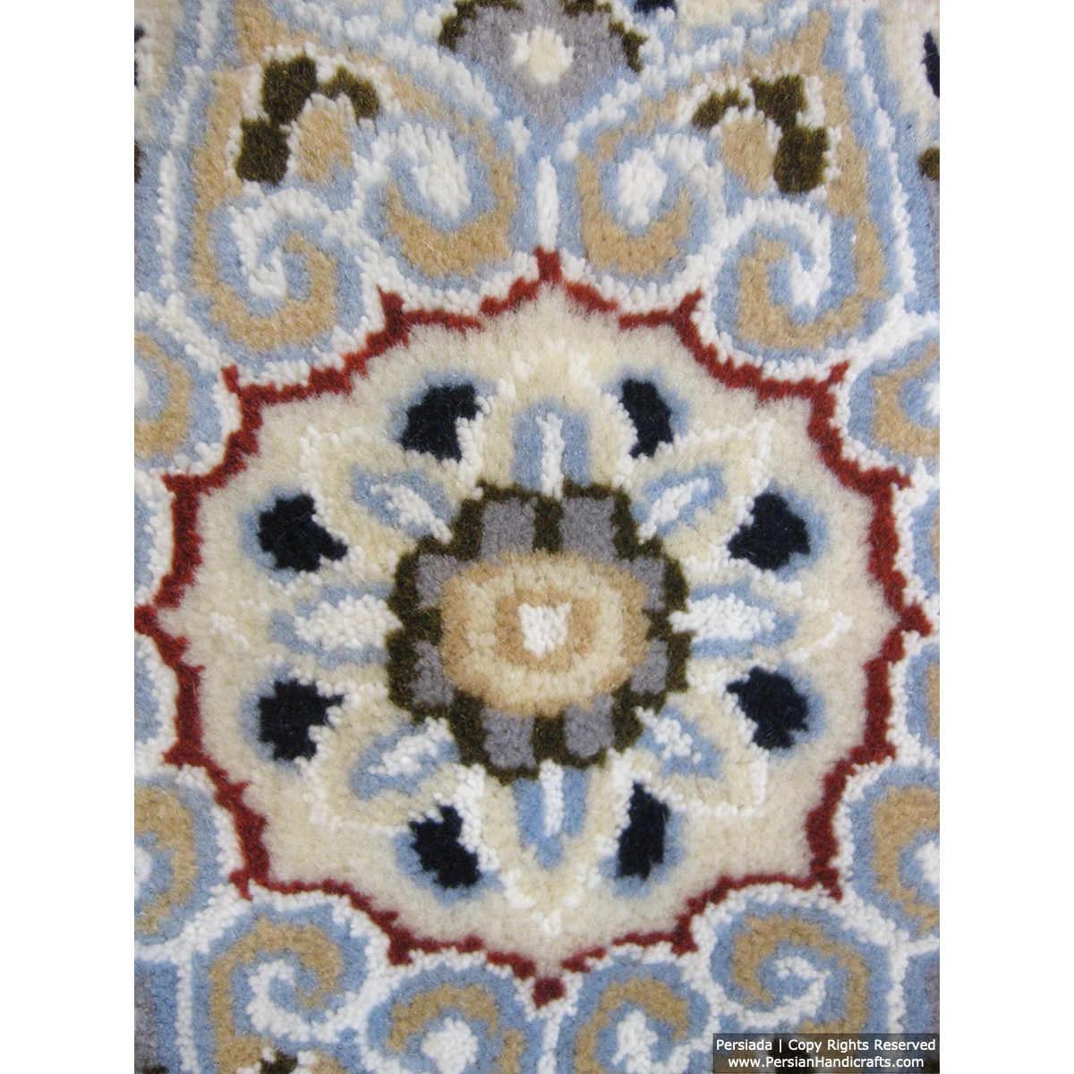 Medallion Design Wool & Cotton Naein Persian Rug  -  RN5001-Persian Handicrafts
