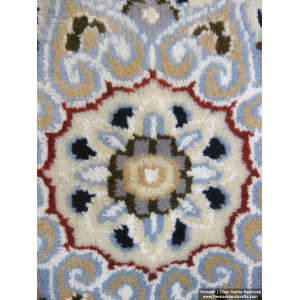 Medallion Design Wool & Cotton Naein Persian Rug  -  RN5001-Persian Handicrafts