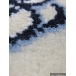 Medallion Design Wool & Cotton Naein Persian Rug  -  RN5001-Persian Handicrafts