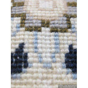 Medallion Design Wool & Cotton Naein Persian Rug  -  RN5001-Persian Handicrafts