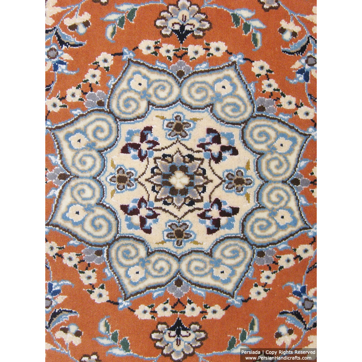 Medallion Design Wool & Cotton Naein Persian Rug  -  RN5002-Persian Handicrafts