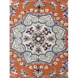 Medallion Design Wool & Cotton Naein Persian Rug  -  RN5002-Persian Handicrafts
