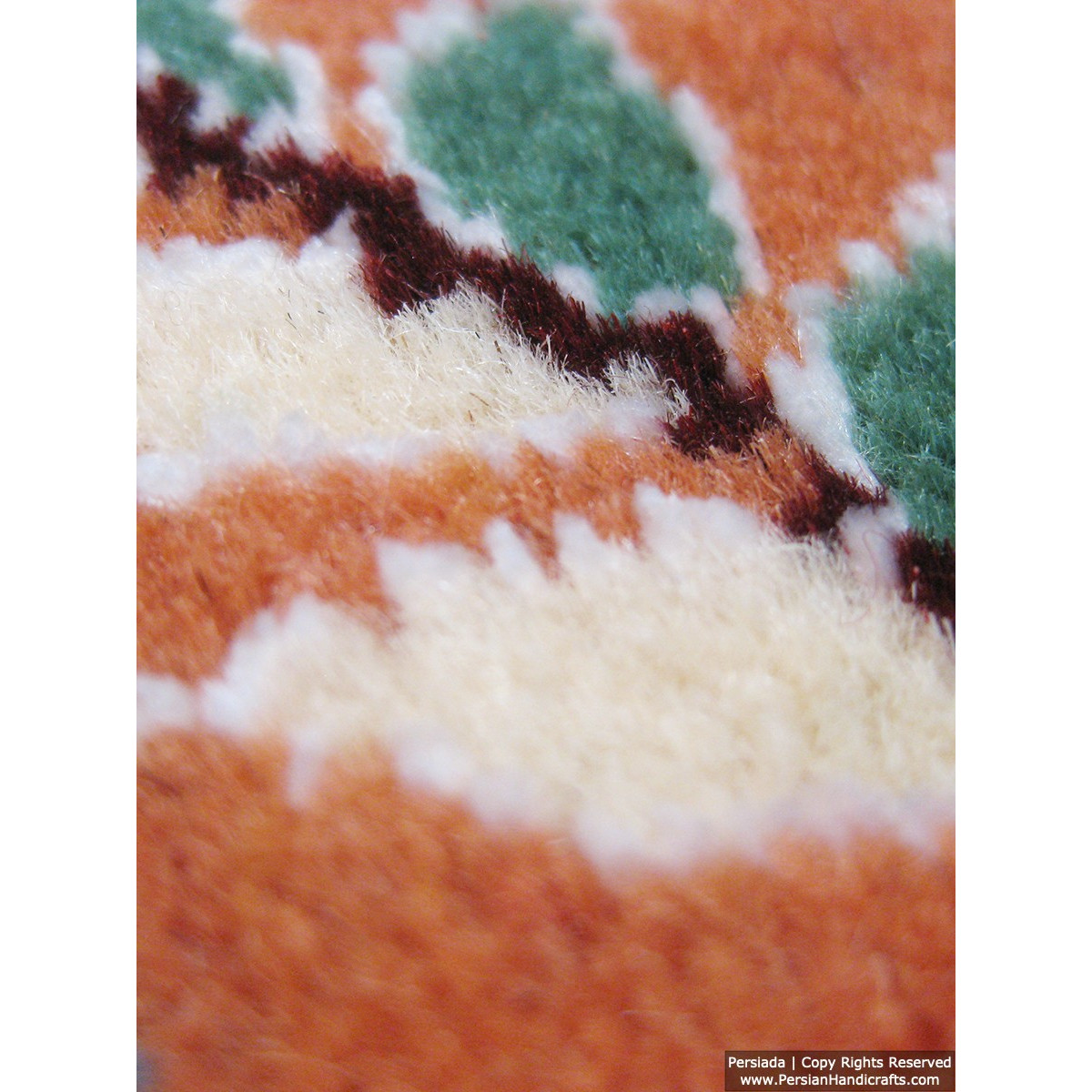 Medallion Design Wool & Cotton Naein Persian Rug  -  RN5002-Persian Handicrafts