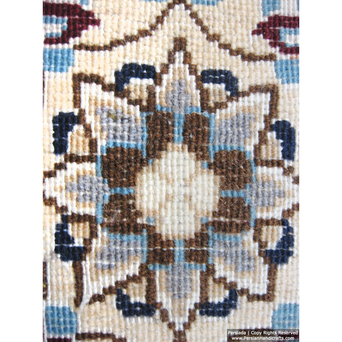 Medallion Design Wool & Cotton Naein Persian Rug  -  RN5002-Persian Handicrafts