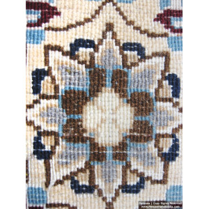 Medallion Design Wool & Cotton Naein Persian Rug  -  RN5002-Persian Handicrafts