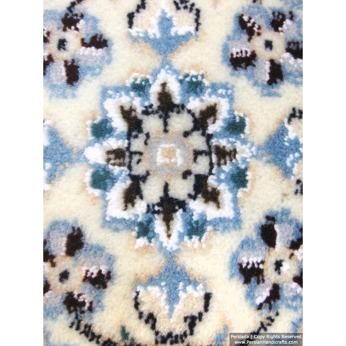 Medallion Design Wool & Cotton Naein Persian Rug  -  RN5003-Persian Handicrafts