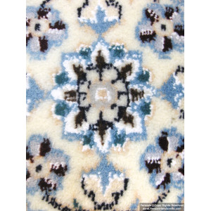 Medallion Design Wool & Cotton Naein Persian Rug  -  RN5003-Persian Handicrafts