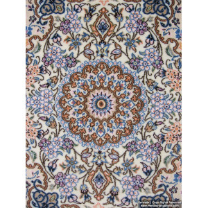 Medallion Design Wool & Cotton Naein Persian Rug  -  RN5004-Persian Handicrafts