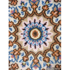 Medallion Design Wool & Cotton Naein Persian Rug  -  RN5004-Persian Handicrafts