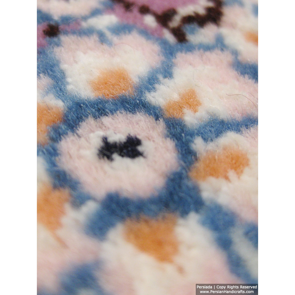 Medallion Design Wool & Cotton Naein Persian Rug  -  RN5004-Persian Handicrafts