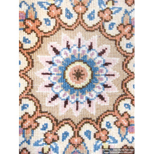 Medallion Design Wool & Cotton Naein Persian Rug  -  RN5004-Persian Handicrafts