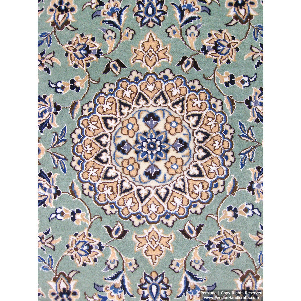 Medallion Design Wool & Cotton Naein Persian Rug  -  RN5005-Persian Handicrafts