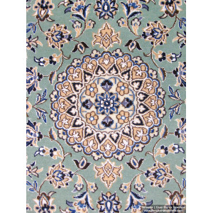 Medallion Design Wool & Cotton Naein Persian Rug  -  RN5005-Persian Handicrafts