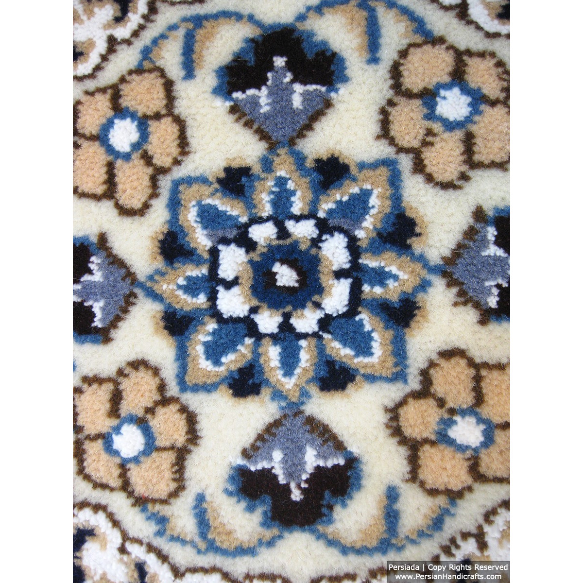 Medallion Design Wool & Cotton Naein Persian Rug  -  RN5005-Persian Handicrafts