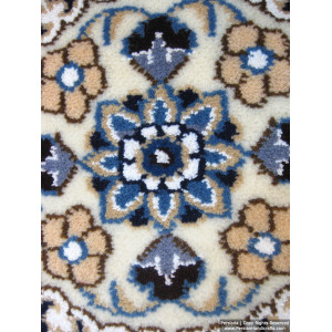 Medallion Design Wool & Cotton Naein Persian Rug  -  RN5005-Persian Handicrafts