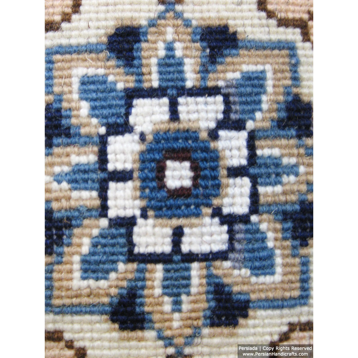Medallion Design Wool & Cotton Naein Persian Rug  -  RN5005-Persian Handicrafts