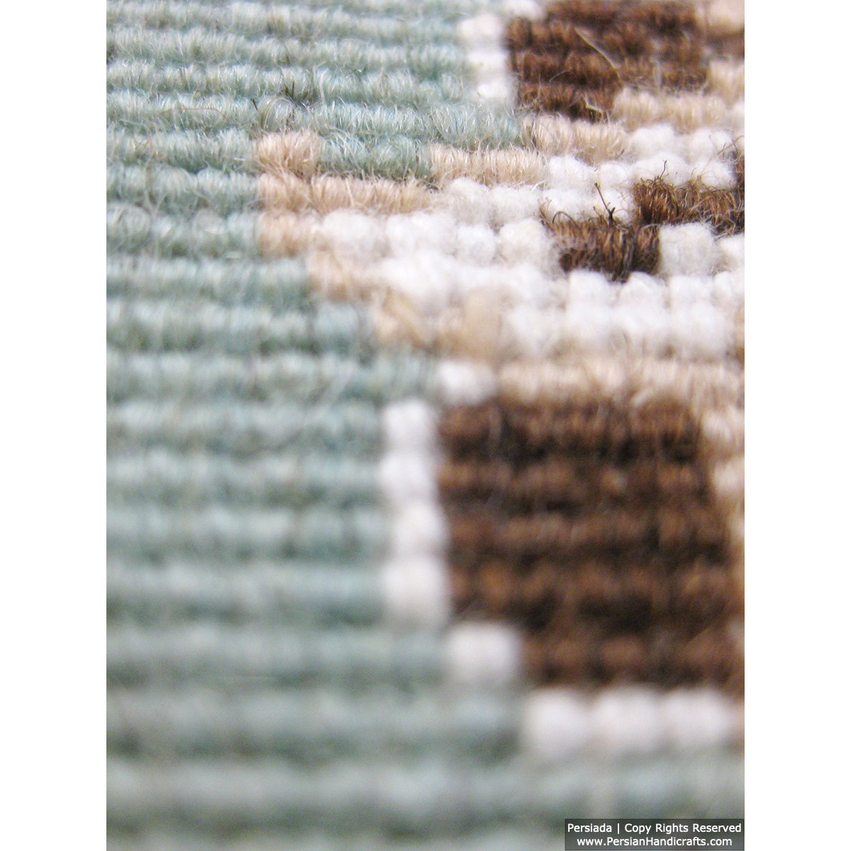 Medallion Design Wool & Cotton Naein Persian Rug  -  RN5005-Persian Handicrafts