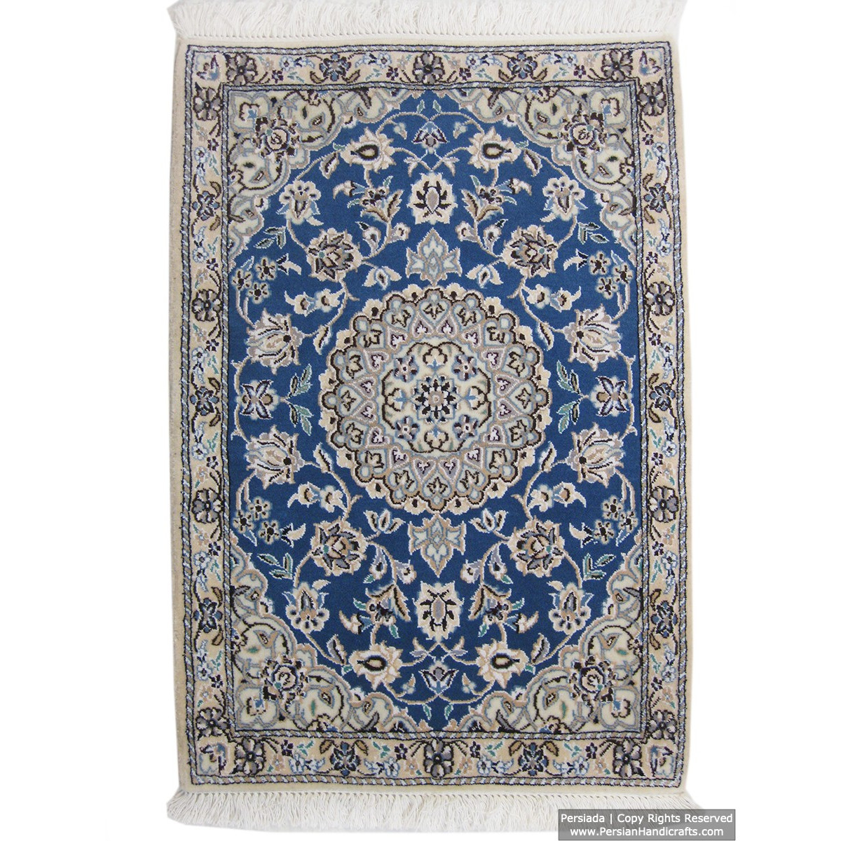 Medallion Design Wool & Cotton Naein Persian Rug  -  RN5006-Persian Handicrafts