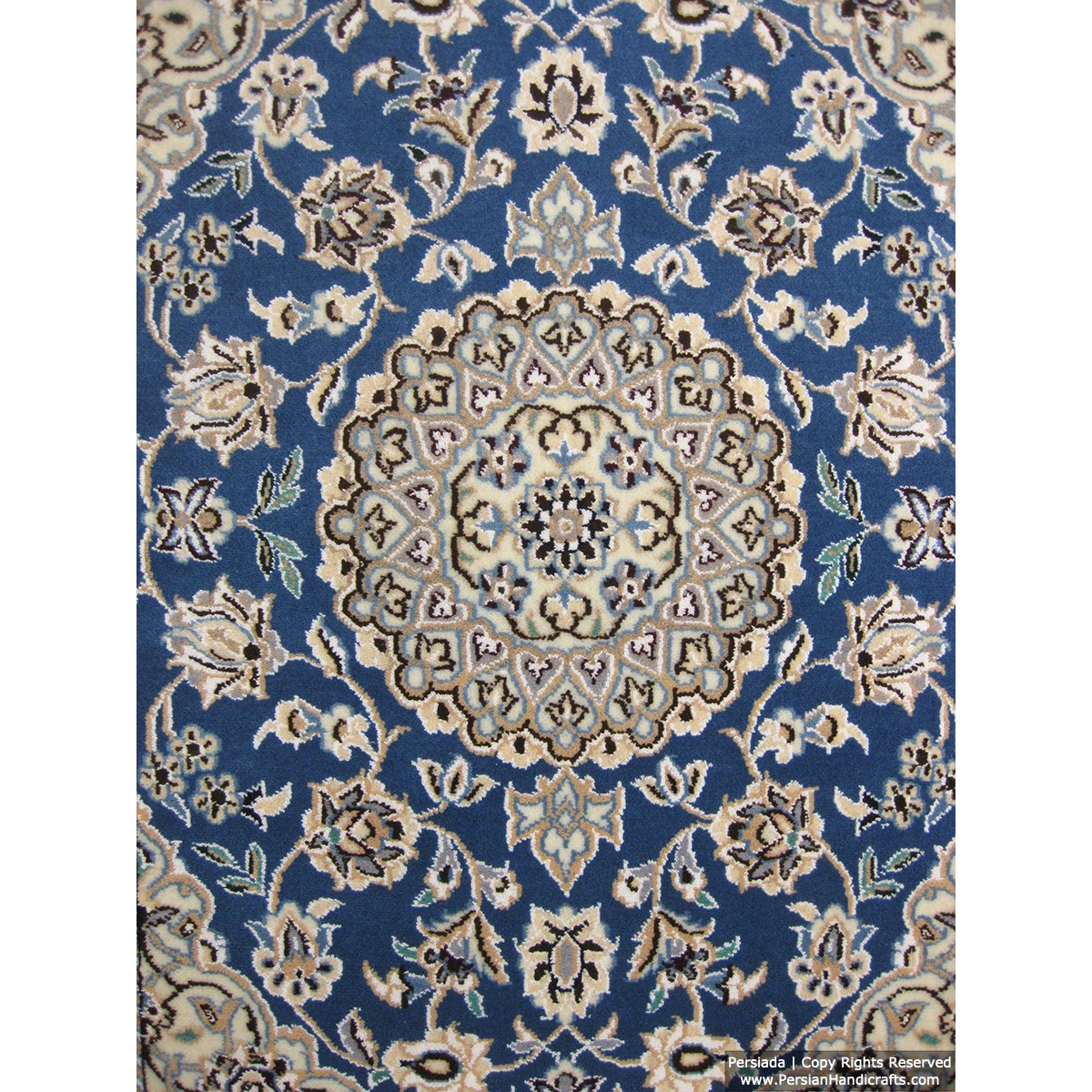 Medallion Design Wool & Cotton Naein Persian Rug  -  RN5006-Persian Handicrafts