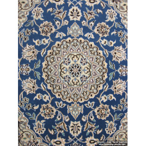 Medallion Design Wool & Cotton Naein Persian Rug  -  RN5006-Persian Handicrafts