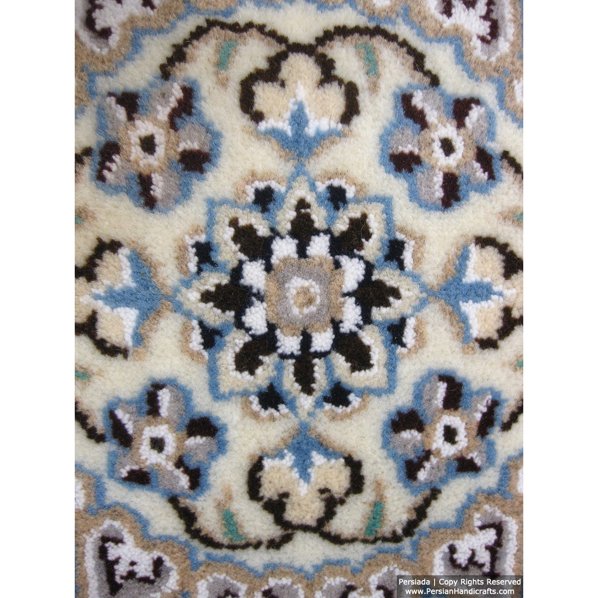 Medallion Design Wool & Cotton Naein Persian Rug  -  RN5006-Persian Handicrafts
