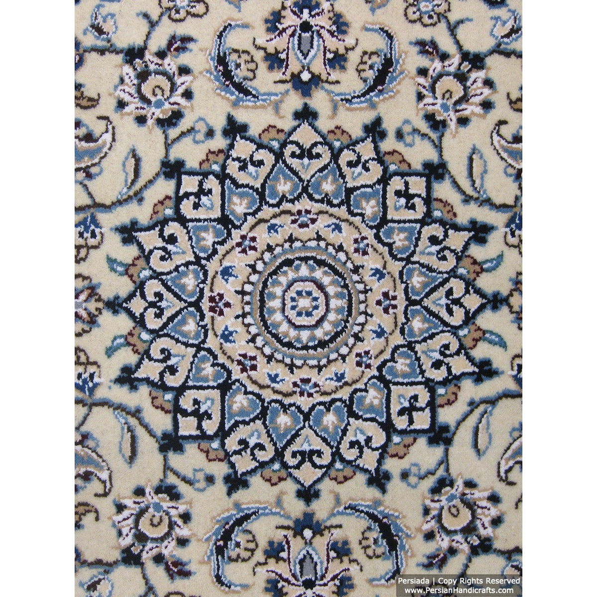 Medallion Design Wool & Cotton Naein Persian Rug  -  RN5007-Persian Handicrafts