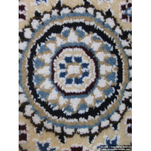 Medallion Design Wool & Cotton Naein Persian Rug  -  RN5007-Persian Handicrafts
