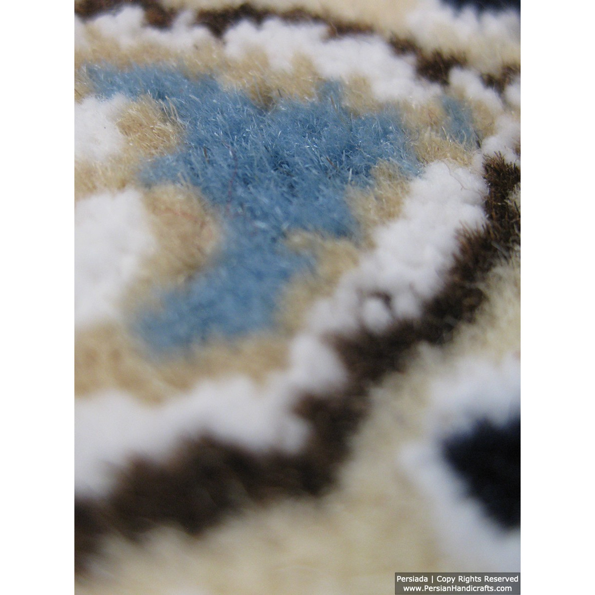Medallion Design Wool & Cotton Naein Persian Rug  -  RN5007-Persian Handicrafts