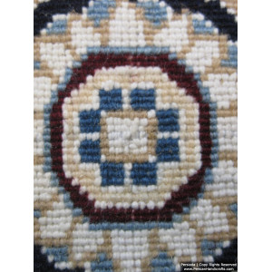 Medallion Design Wool & Cotton Naein Persian Rug  -  RN5007-Persian Handicrafts