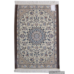 Medallion Design Wool & Cotton Naein Persian Rug  -  RN5007-Persian Handicrafts