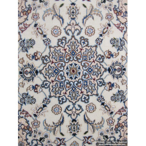 Medallion Design Wool & Cotton Naein Persian Rug  -  RN5008-Persian Handicrafts