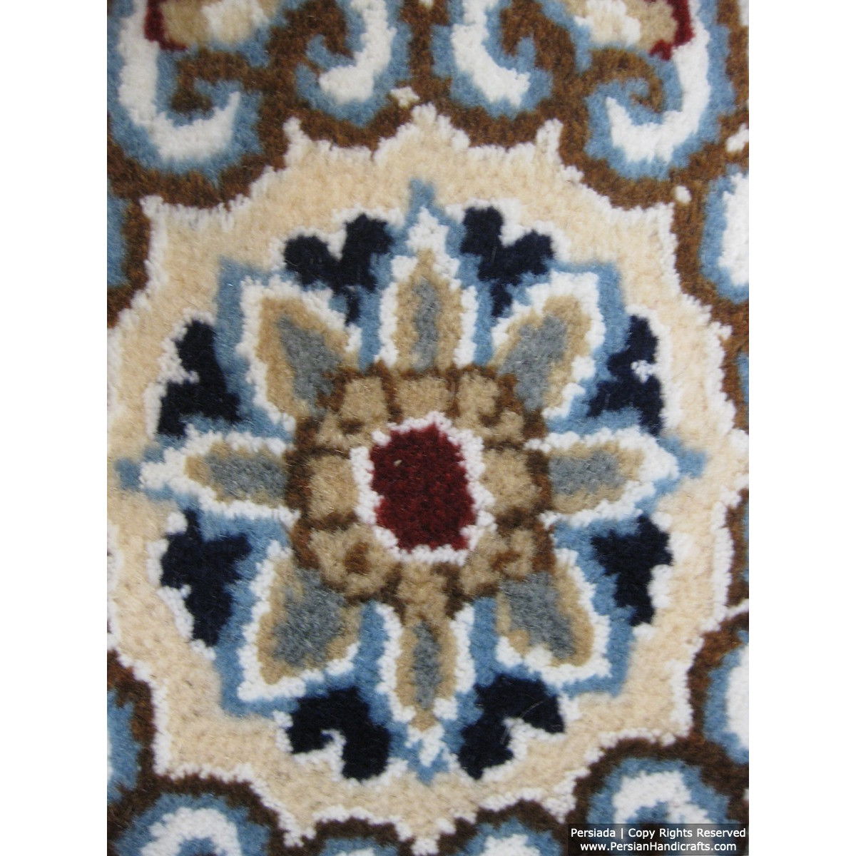 Medallion Design Wool & Cotton Naein Persian Rug  -  RN5008-Persian Handicrafts
