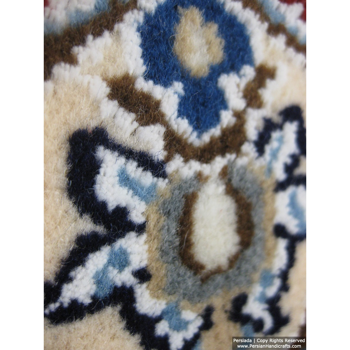 Medallion Design Wool & Cotton Naein Persian Rug  -  RN5008-Persian Handicrafts