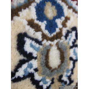 Medallion Design Wool & Cotton Naein Persian Rug  -  RN5008-Persian Handicrafts