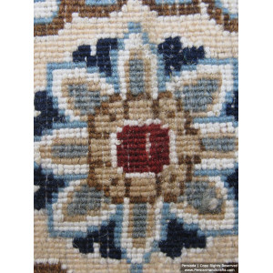 Medallion Design Wool & Cotton Naein Persian Rug  -  RN5008-Persian Handicrafts
