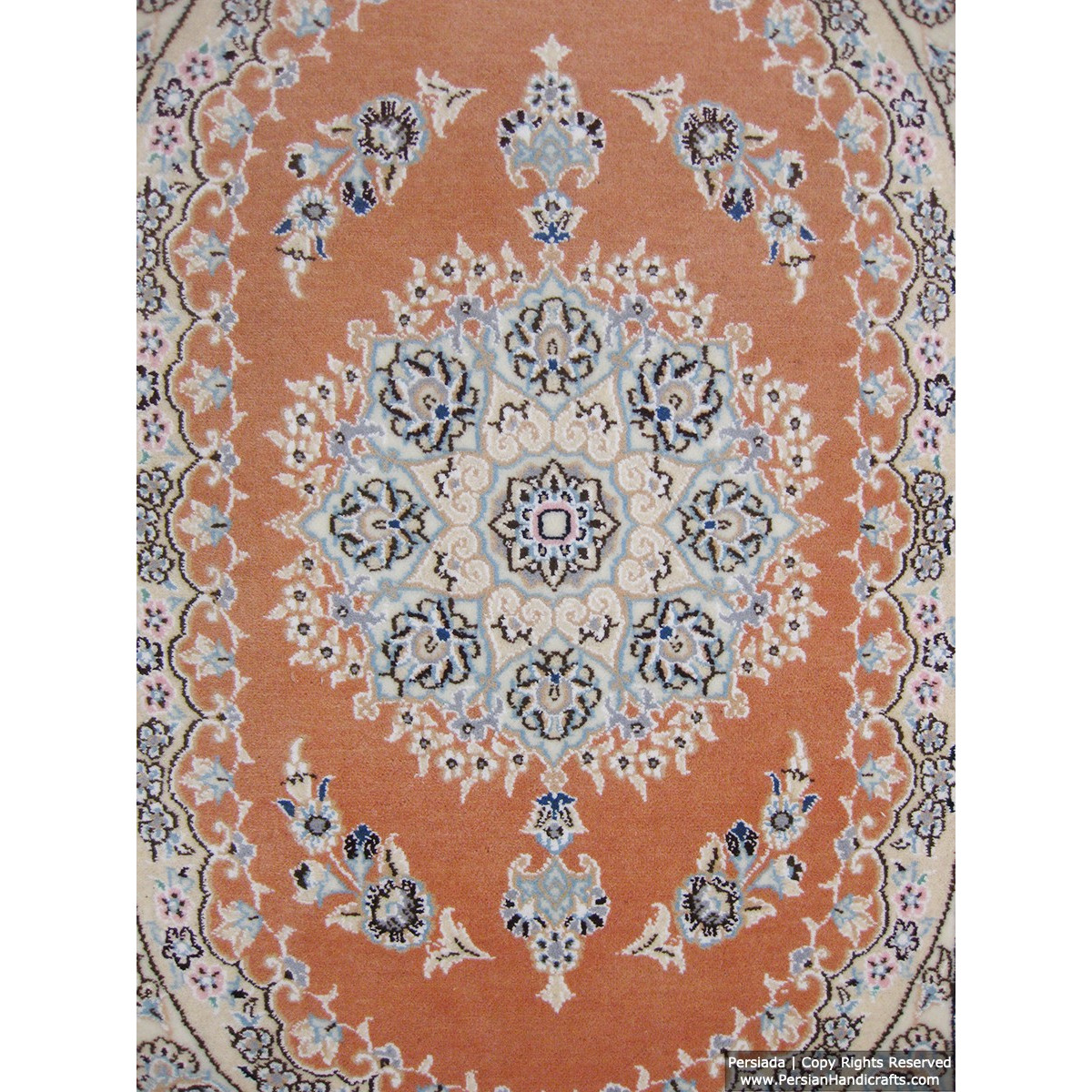 Medallion Design Wool & Cotton Naein Persian Rug  -  RN5009-Persian Handicrafts