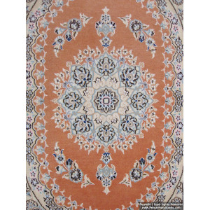 Medallion Design Wool & Cotton Naein Persian Rug  -  RN5009-Persian Handicrafts