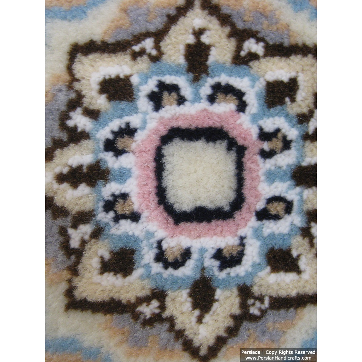 Medallion Design Wool & Cotton Naein Persian Rug  -  RN5009-Persian Handicrafts
