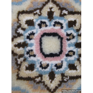 Medallion Design Wool & Cotton Naein Persian Rug  -  RN5009-Persian Handicrafts