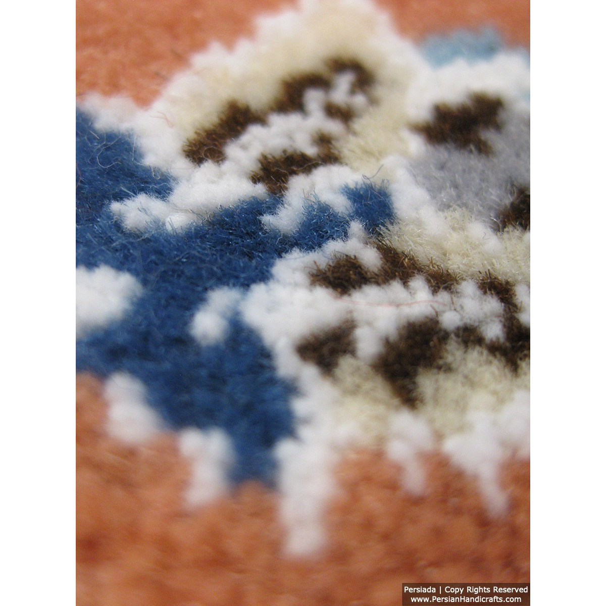 Medallion Design Wool & Cotton Naein Persian Rug  -  RN5009-Persian Handicrafts