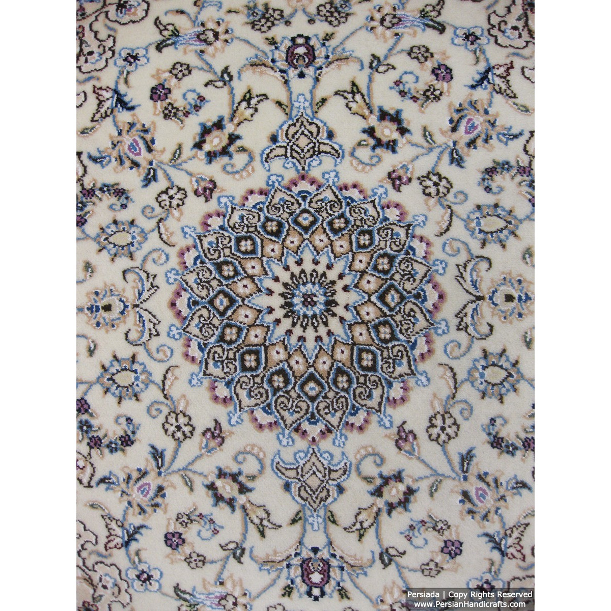 Medallion Design Wool & Cotton Naein Persian Rug  -  RN5010-Persian Handicrafts