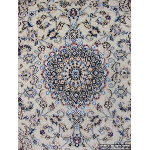 Medallion Design Wool & Cotton Naein Persian Rug  -  RN5010-Persian Handicrafts