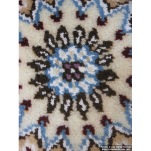 Medallion Design Wool & Cotton Naein Persian Rug  -  RN5010-Persian Handicrafts
