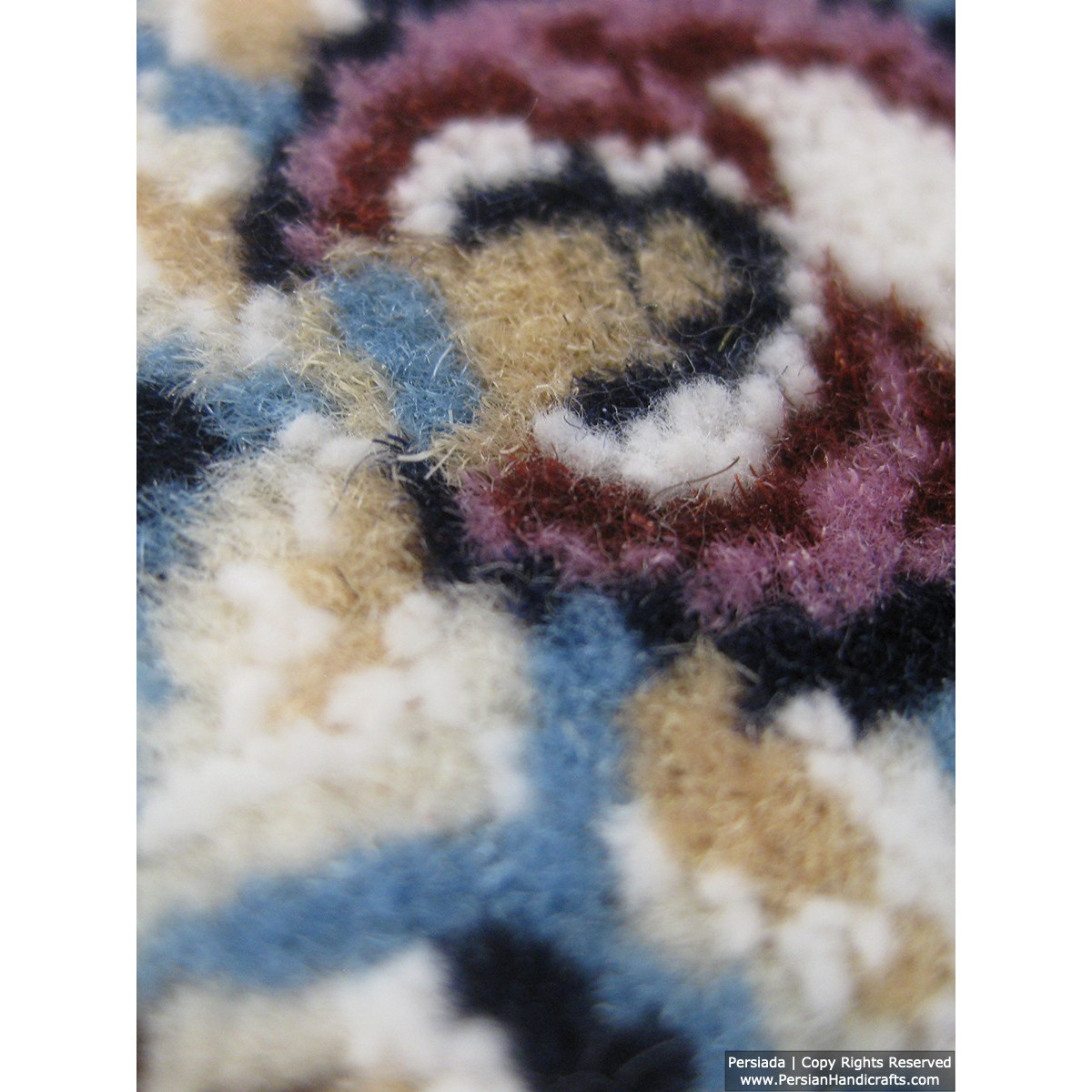 Medallion Design Wool & Cotton Naein Persian Rug  -  RN5010-Persian Handicrafts