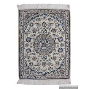 Medallion Design Wool & Cotton Naein Persian Rug  -  RN5011-Persian Handicrafts