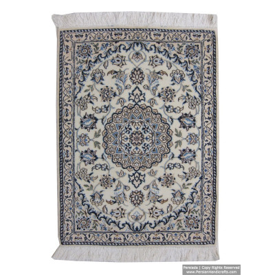 Medallion Design Wool & Cotton Naein Persian Rug  -  RN5011