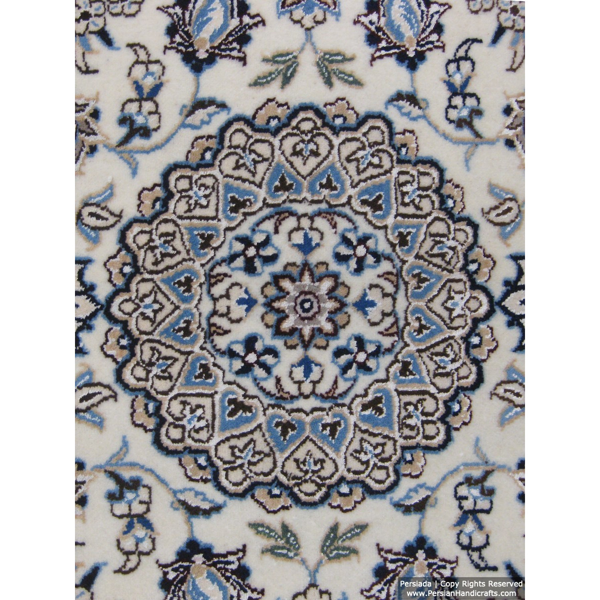 Medallion Design Wool & Cotton Naein Persian Rug  -  RN5011-Persian Handicrafts